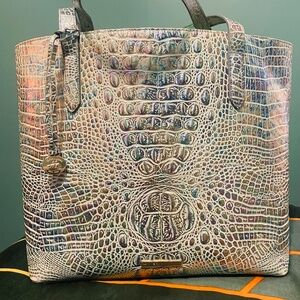 Brahmin Tote Wonderland
